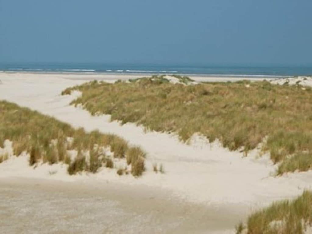Unterkunft 040123 - Ferienhaus Ameland - 191791