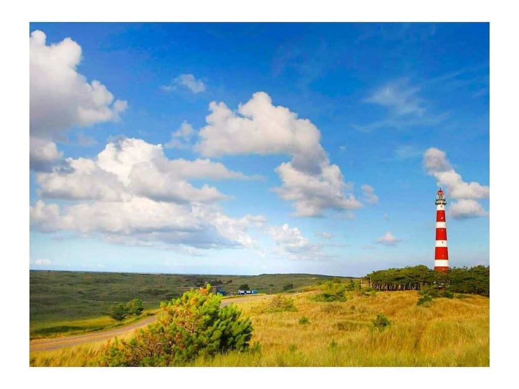 Unterkunft 040130 - Ferienhaus Ameland - 293562