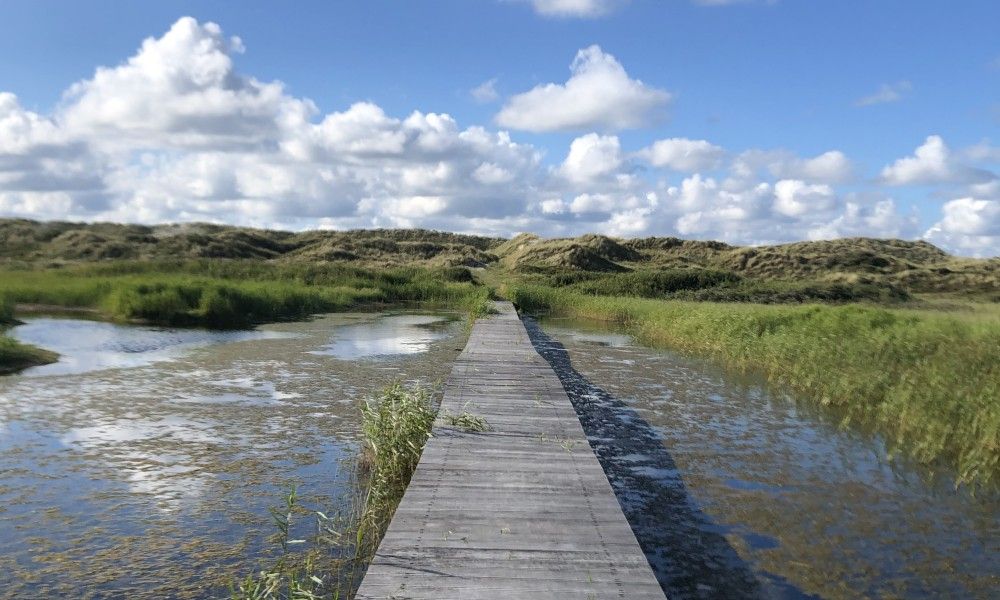 Natuurrijke omgeving van Noorderzon, Buren, Ameland met houten wandelpad door de duinen.