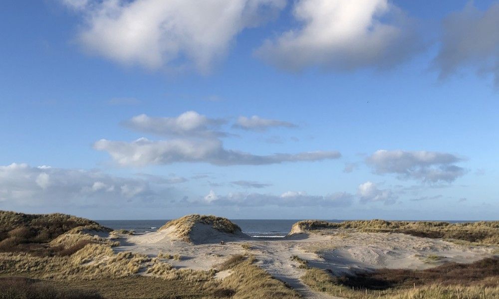 Beautiful dune landscape surrounding vacation home Naar Zee in Buren, Ameland overlooking the sea.