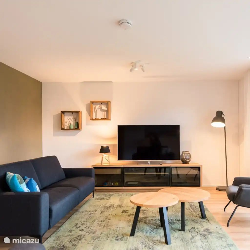 Guest house 040255 - Holiday property Ameland - Strandplevier