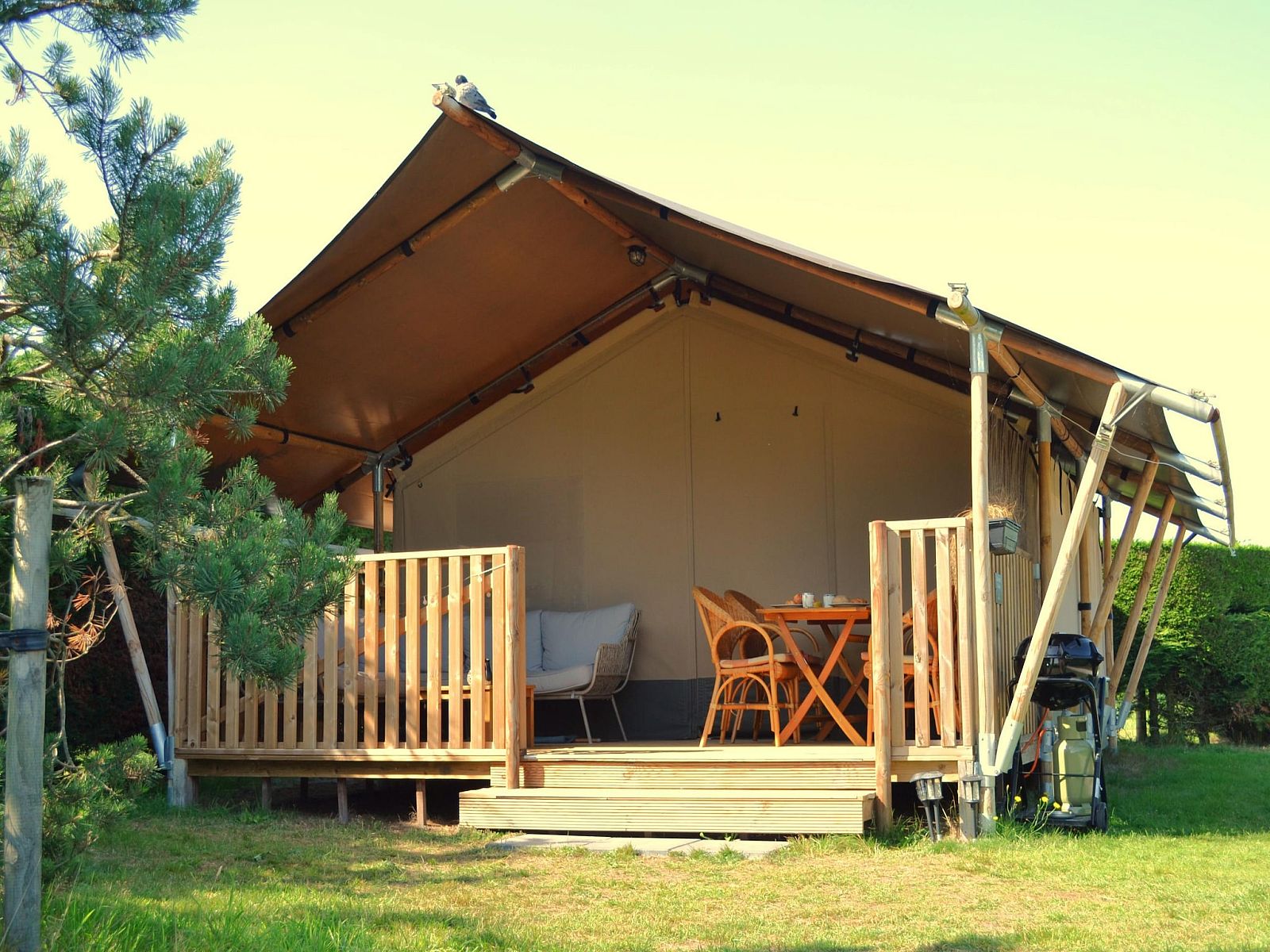 Unterkunft 0403125 - Ferienhaus Ameland - Luxe safaritent op Ameland