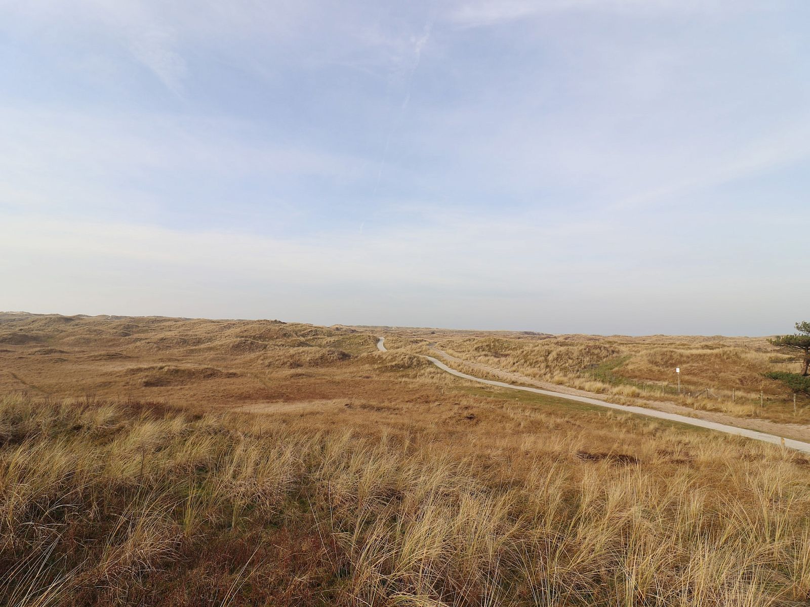 Unterkunft 0403125 - Ferienhaus Ameland - Luxe safaritent op Ameland