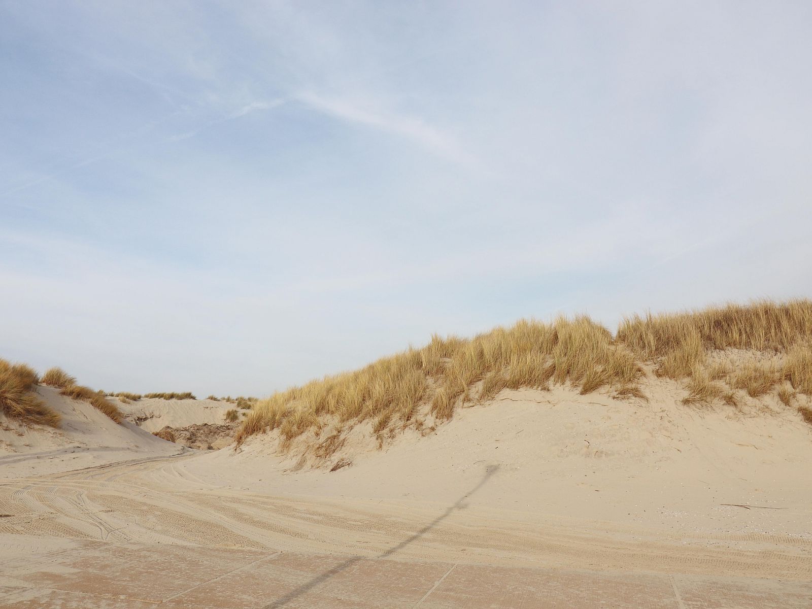 Unterkunft 0403125 - Ferienhaus Ameland - Luxe safaritent op Ameland