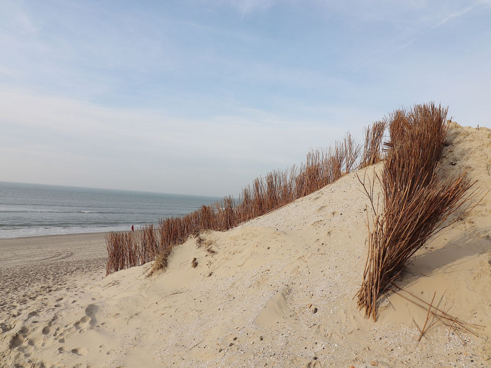Unterkunft 0403125 - Ferienhaus Ameland - Luxe safaritent op Ameland