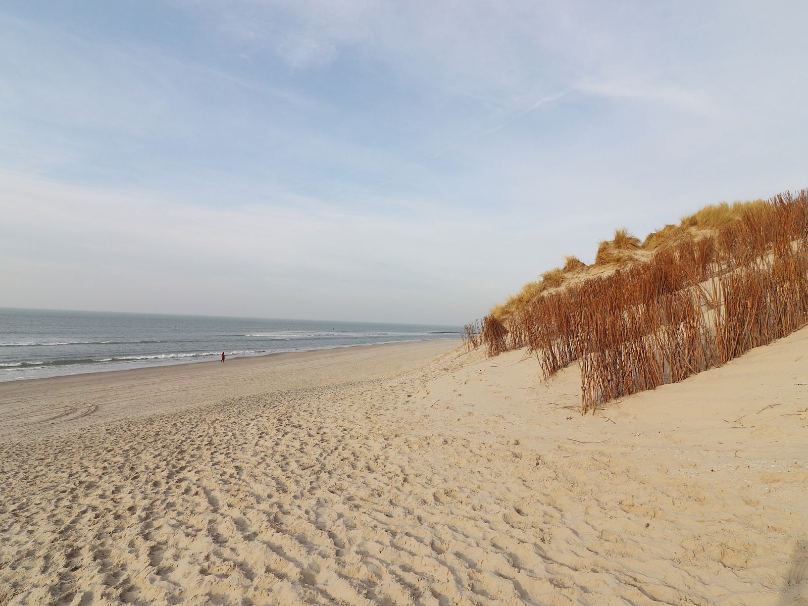 Unterkunft 0403125 - Ferienhaus Ameland - Luxe safaritent op Ameland