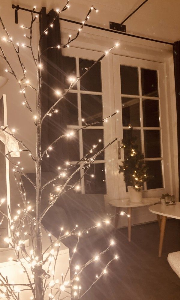 Guest house 040318 - Holiday property Ameland - 't Roefke