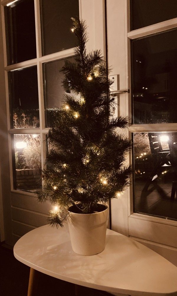 Guest house 040318 - Holiday property Ameland - 't Roefke