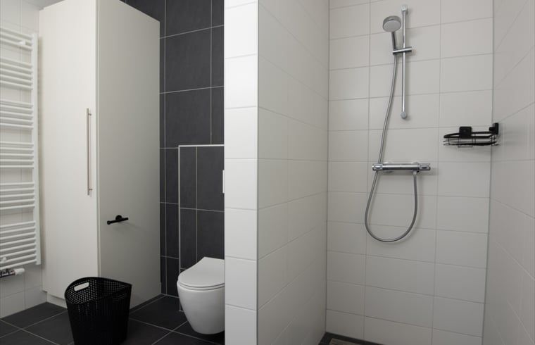 Stilvolles Badezimmer mit Dusche und Toilette im Ferienhaus in Nes, Ameland.