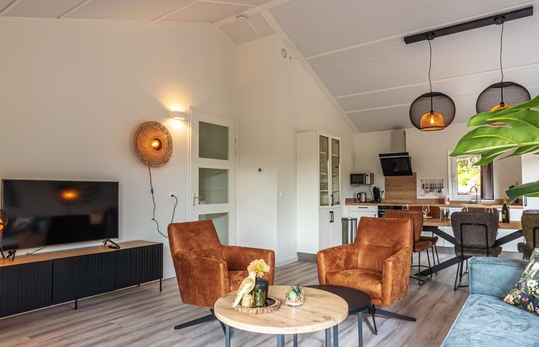 Offenes Wohnzimmer und Kueche im Ferienhaus in Nes, Ameland, mit moderner Einrichtung.