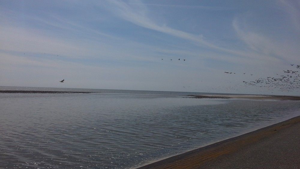 Unterkunft 040701 - Chalet Ameland - Protter