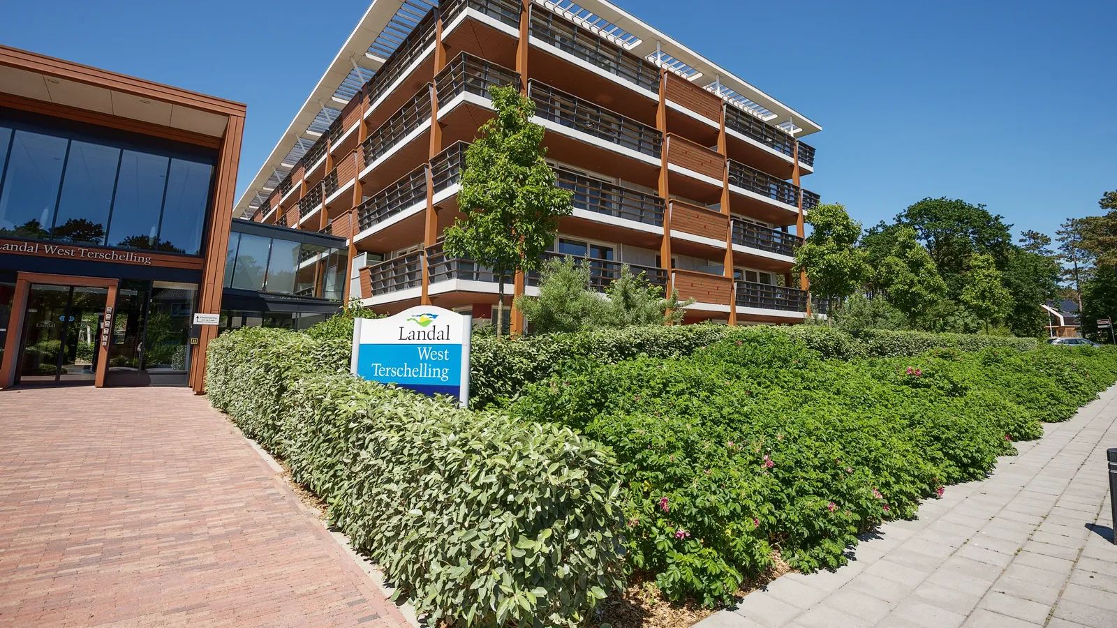 Image 6
