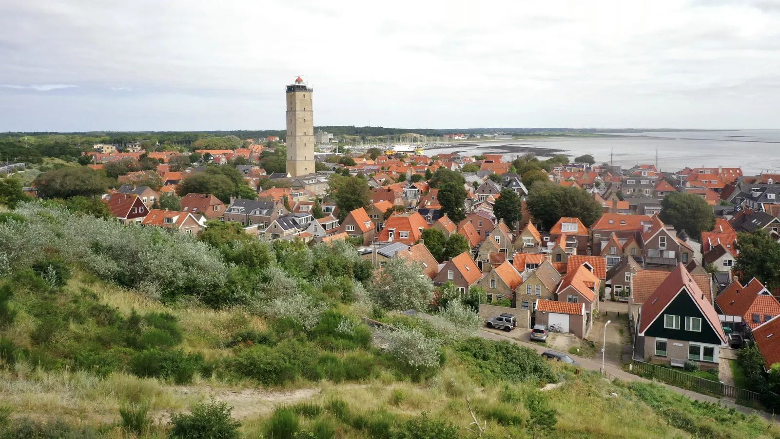 Image 11