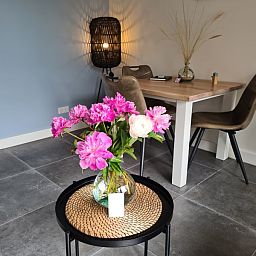 Guest house 01011047 - Special overnight stays Texel - Bed en Beach Wadbijzonder