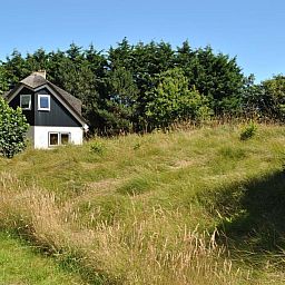 Velduil huisje omringd door natuur in De Cocksdorp, Texel, Waddeneilanden.