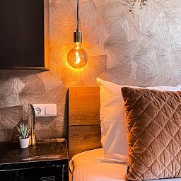 Guest house 0101178 - Holiday property Texel - Vakantiehuis De Roggesloot