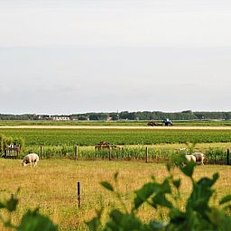 View of Texel fields from The Wulpenlied vacation home in De Cocksdorp.