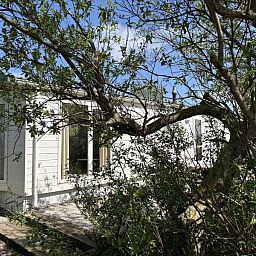 Verblijf 010119 - Vakantiewoning Texel - Chalet Meidoorn