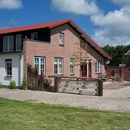 Ruime buitenruimte van vakantiehuis Huisje in De Cocksdorp, Texel, met groene omgeving.