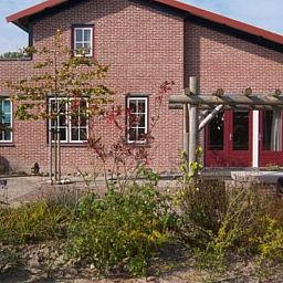 Achtertuin van Huisje in De Cocksdorp, Texel, met kleurrijke planten en uitnodigend terras.