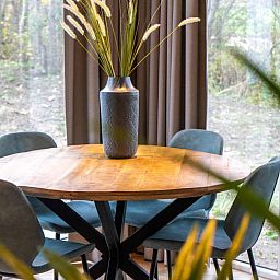 Unterkunft 0101266 - Ferienhaus Texel - Pavilion 4+4