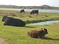 Guest house 010132 • Holiday property Texel • Junier/huisman  • 13 of 22