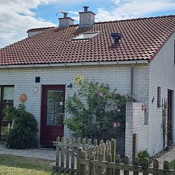 Unterkunft 0101569 - Ferienhaus Texel - Vakantiehuis D 489