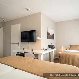 Guest house 0101846 - Holiday property Texel - Driepersoons kamer - Bad/douche/toilet