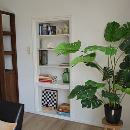 Bookcase and green plant in Plevierstraat 24 - Tuunwoal vacation home, De Koog, Texel for a homely atmosphere.