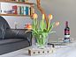 Unterkunft 0102494 • Ferienhaus Texel • Zeelucht  • 11 von 11
