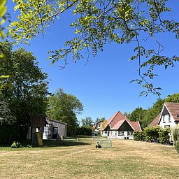 View of the green surroundings of Koetshuis 3 vacation home in De Koog, Texel.