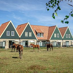 Verblijf 0102973 - Vakantiewoning Texel - Landleven vakantiehuis 83