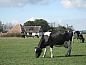Unterkunft 0104152 • Ferienhaus Texel • Hoeve Ongeren  • 2 von 11