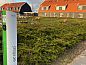 Guest house 010436 • Holiday property Texel • Vakantiehuis in Den Burg  • 7 of 18