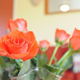 Guest house 0105103 - Holiday property Texel - Appartement Rood