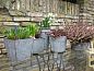 Guest house 010510 • Bungalow Texel • Lage Achterom 16  • 7 of 8