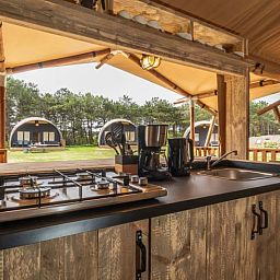 Guest house 010599 - Holiday property Texel - Safari Lodge