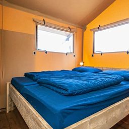 Guest house 010599 - Holiday property Texel - Safari Lodge