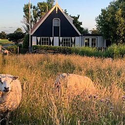 Sheep near Holiday home in Oosterend, Texel, add a rural charm to the stay.