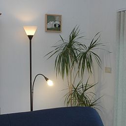 Atmospheric corner with plants in Alkema bungalow rental Gortersmient, vacation home in Dennenbos Texel.