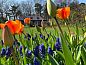 Guest house 011311 • Bungalow Texel • 't Bollenveld - Iris  • 12 of 12