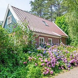 Rustikaler Charme von 't Mienthuis - De Prins, Ferienhaus in De Dennen, Texel, mit bunten Blumen und gruener Umgebung.