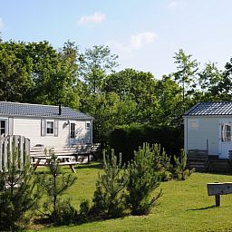 Gruene Umgebung in Villetta Ferienhaus fuer 4 Personen in De Dennen, Texel, Watteninseln.