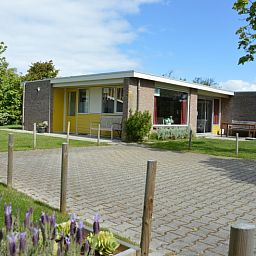 Bungalow Verste Coogh 62 in De Dennen, Texel mit bluehendem Lavendel und sonnigem Garten.