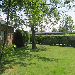 Gruener Garten im Bungalowpark Uterste Coogh, Bungalow 114 in De Dennen, Texel, umgeben von Natur.
