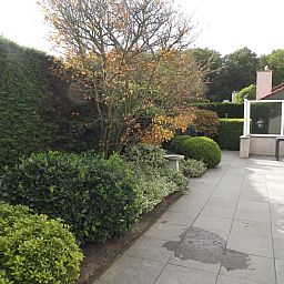 Unterkunft 0113338 - Ferienhaus Texel - Vakantiehuis Gortersmient 220