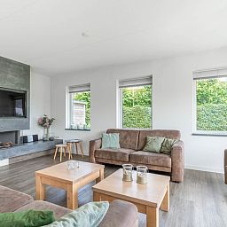 Gemuetliches Wohnzimmer der Villa 106F im Bungalowpark 't Hoogelandt, Texel, mit modernem Kamin und bequemen Sofas.
