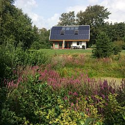 Floral surroundings of Vijverhof vacation home in De Dennen, Texel, with lush vegetation.