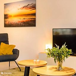 Guest house 040243 - Holiday property Ameland - Zilverplevier