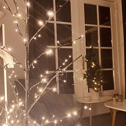 Guest house 040318 - Holiday property Ameland - 't Roefke